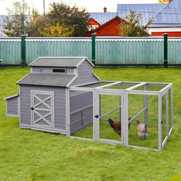Tucker Murphy Pet™ Finola Walk In Chicken Coop with Chicken Run For Up